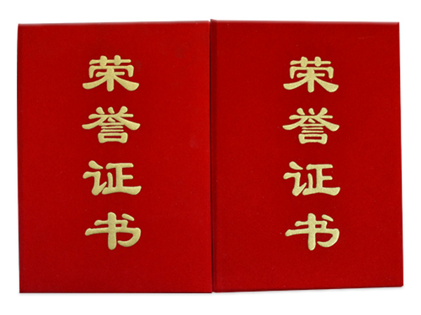 駿宇榮譽證（zhèng）書